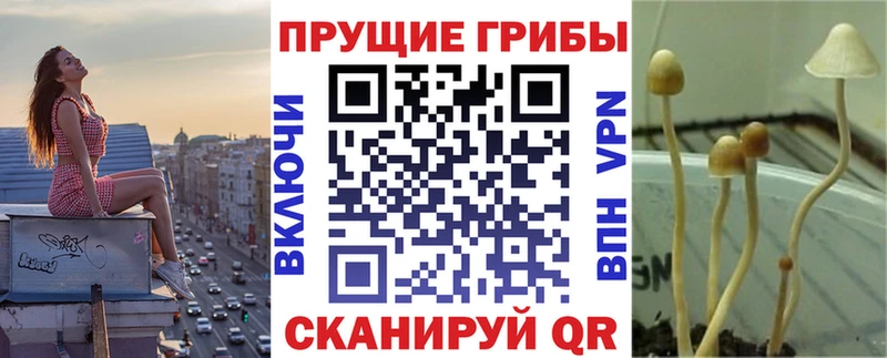 Псилоцибиновые грибы мицелий  Барнаул 