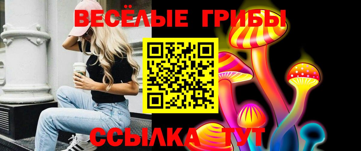 где купить наркотик  Вход с VPN  Барнаул  Псилоцибиновые грибы GOLDEN TEACHER 
